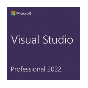 Visual Studio 2022 Professional License key